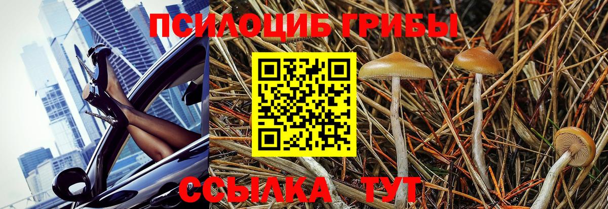 Зима  Псилоцибиновые грибы GOLDEN TEACHER  Вход с VPN 