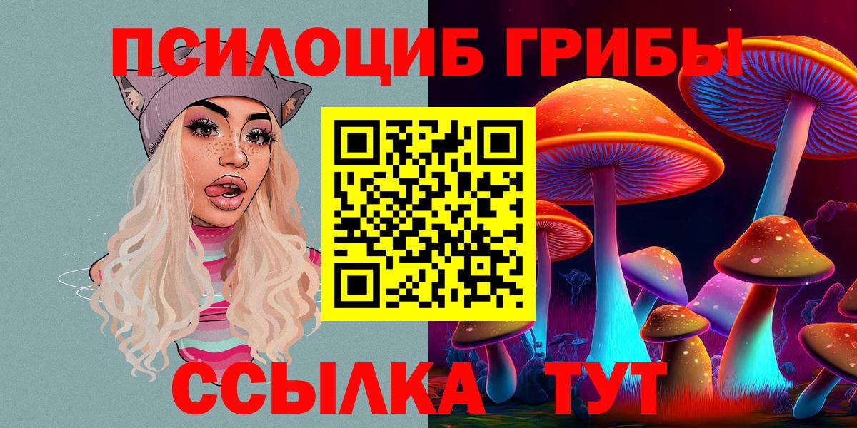 Галлюциногенные грибы Psilocybine cubensis Зима
